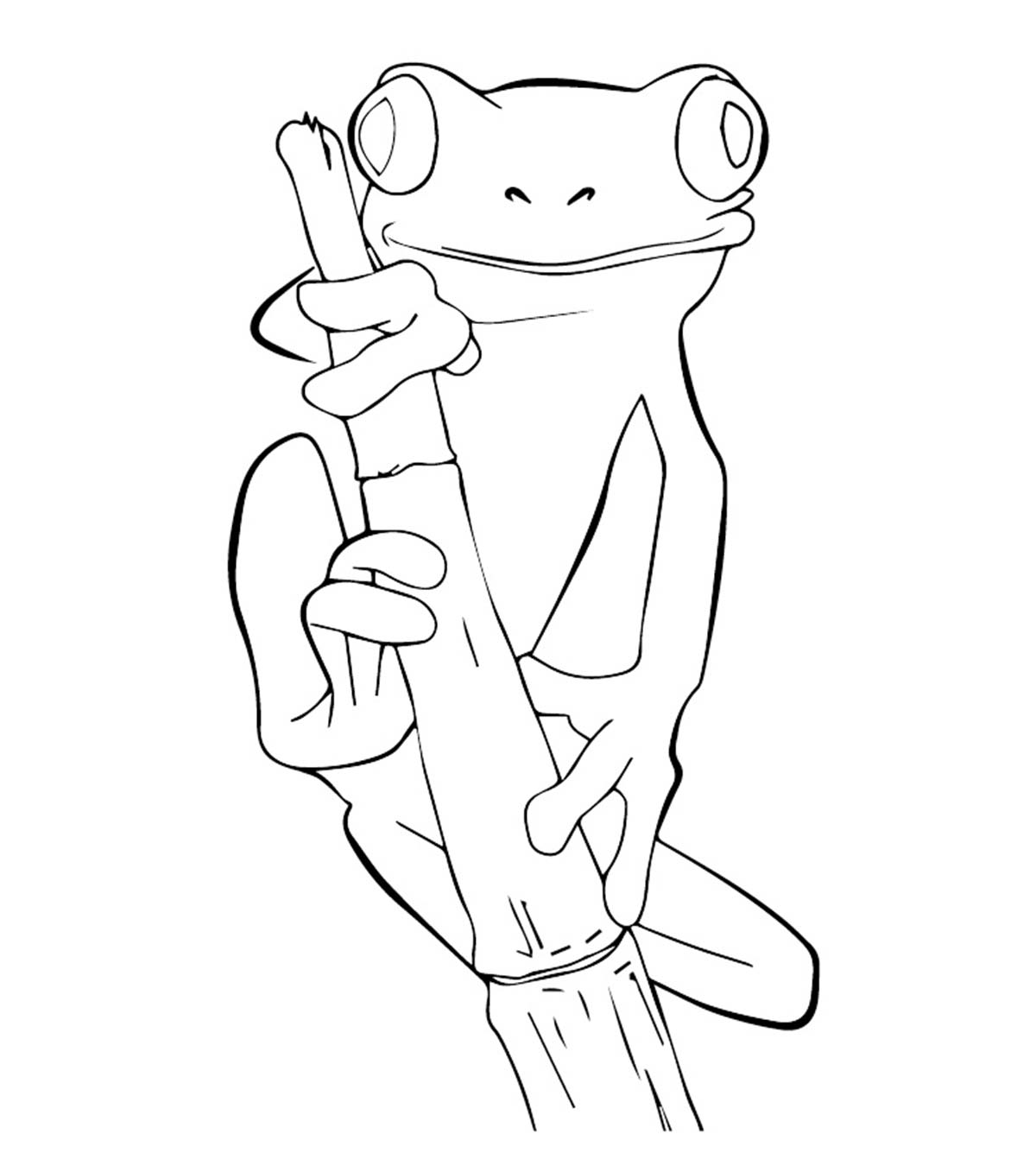 Black outline frog coloring page