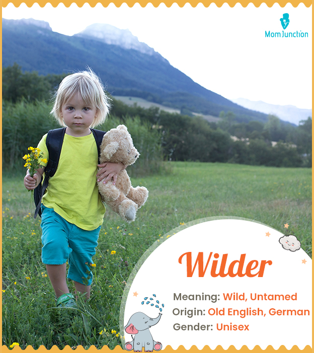 Wilder meaning Wild,